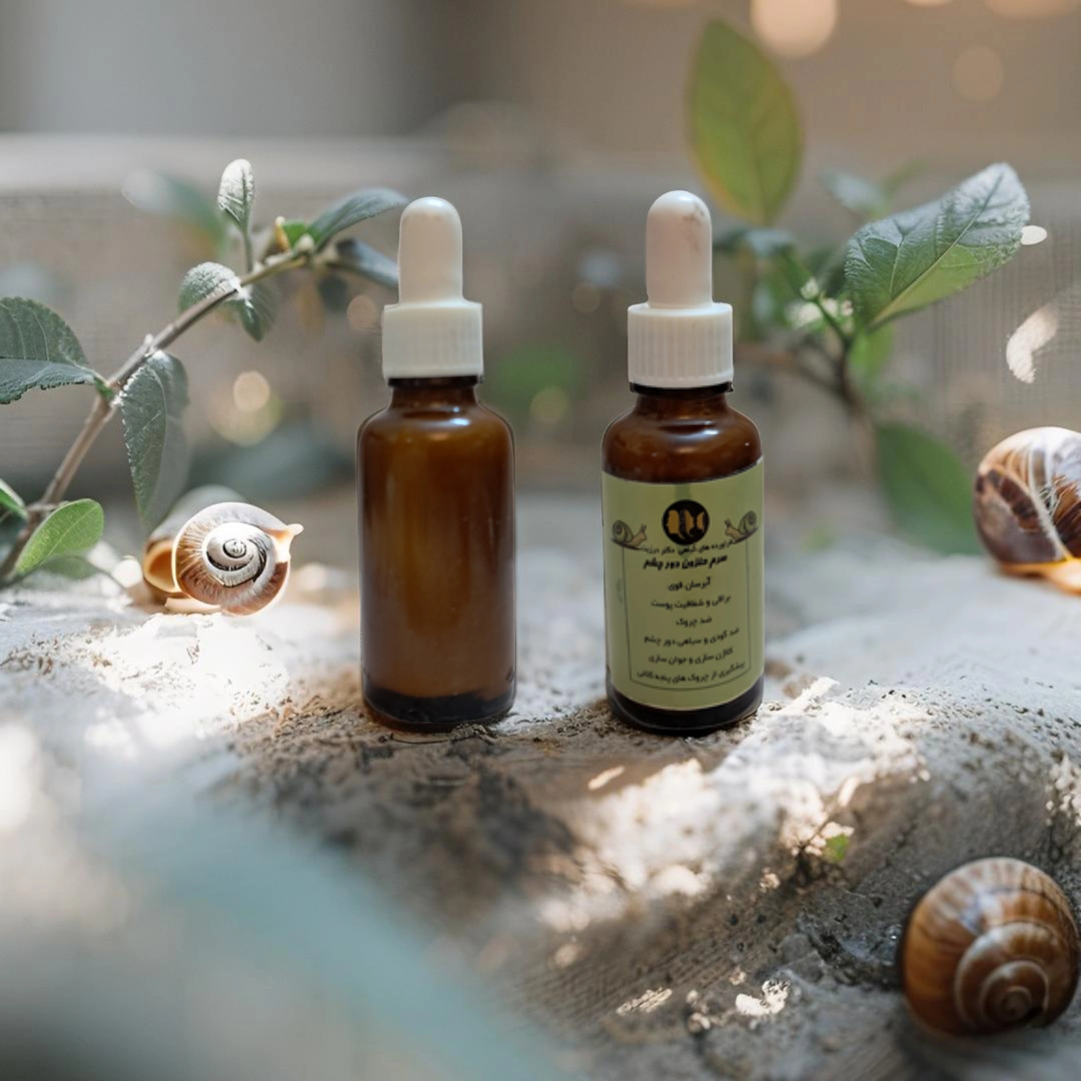 image_Pippit_202505021531 - 2025-05-02T165520.495.webp